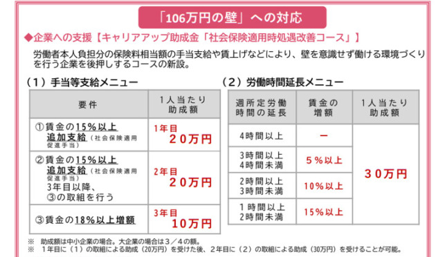 106万円の壁への対応_企業への支援