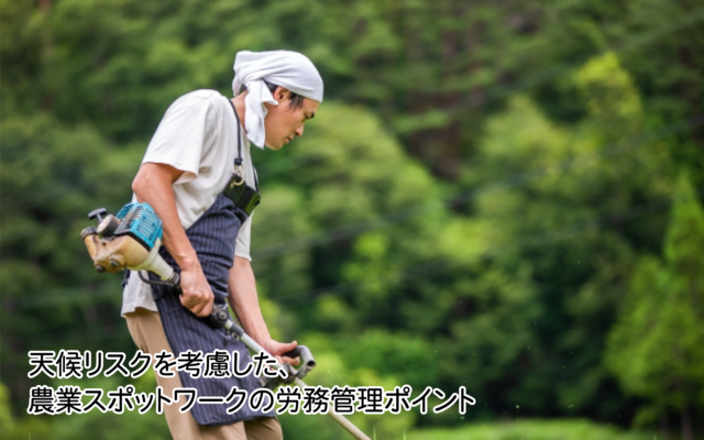 農業スポットワーク労務管理ポイント