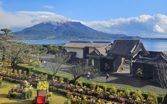 仙厳園から望む桜島